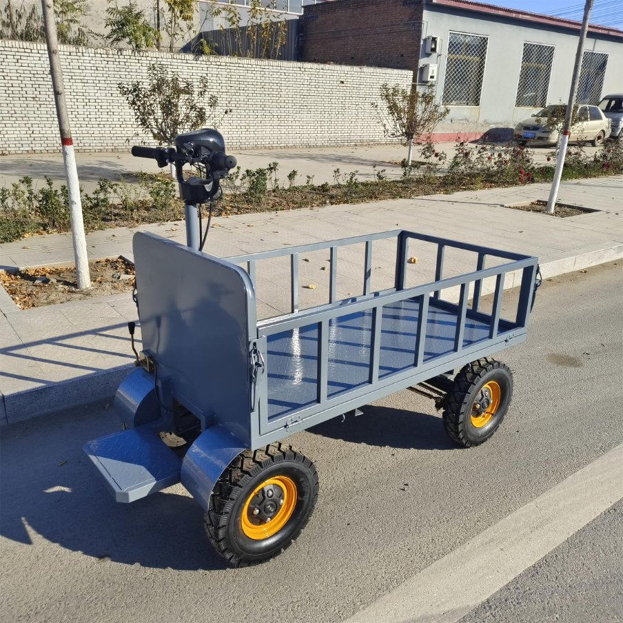 Small Steel Flat Wheel Electric Trolley Cart for Cargo Transport for Shopping Storage and Industrial Usage OEM Customizable