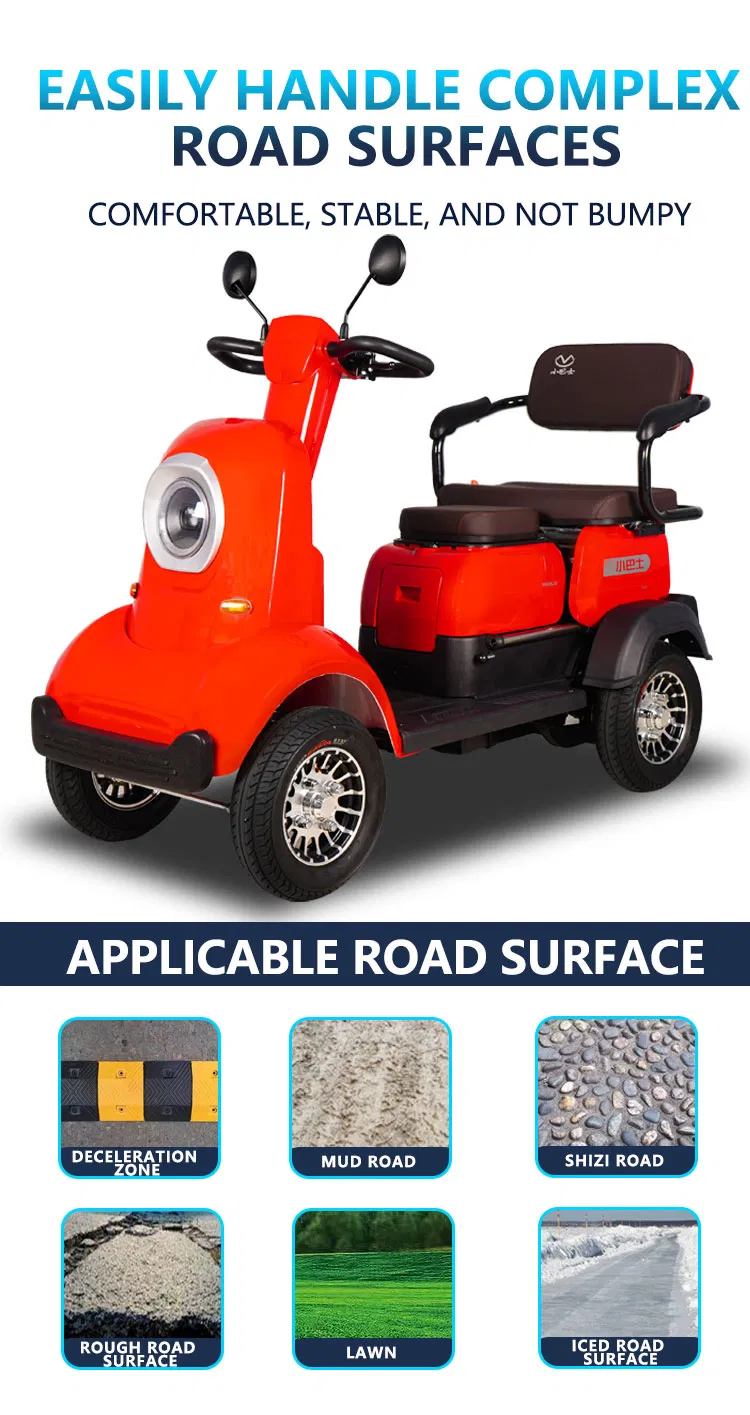 Electric vehicle detail 5