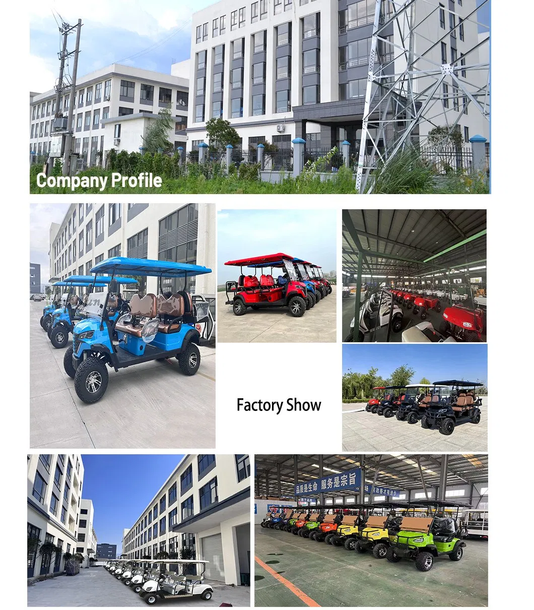 2024 Utility Vehicle Golf Cart 2-8 Seats 4000-7000W Gasoline 300cc Four Wheel Golf Cart with Folding Seats
