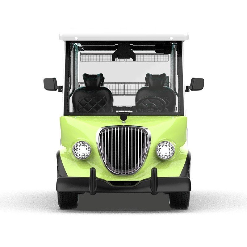 2025 Lsv Agv Electric Golf Cart: DOT Certified Street Legal China Export
