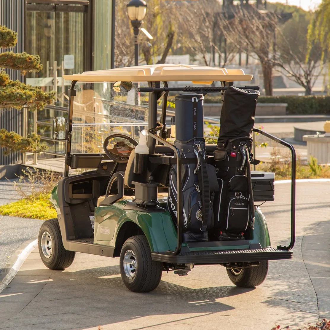 Wuxi Hioev 2 Passenger Fleet Golf Carts