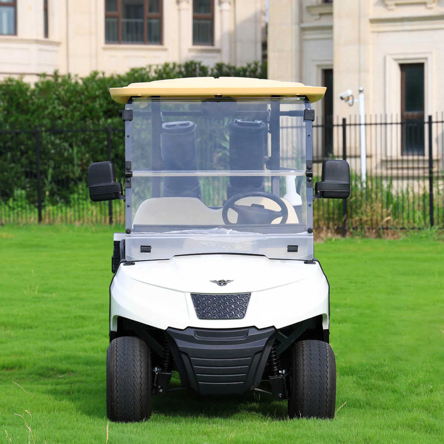 Hioev 2-Seat Fleet Electric Golf Cart