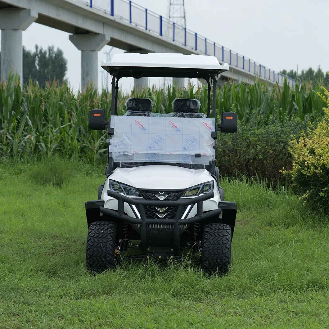 Electric Small Golf Buggies Club Course Hunting Utility Trolley Cargo Buggy Car Vehicle Cart