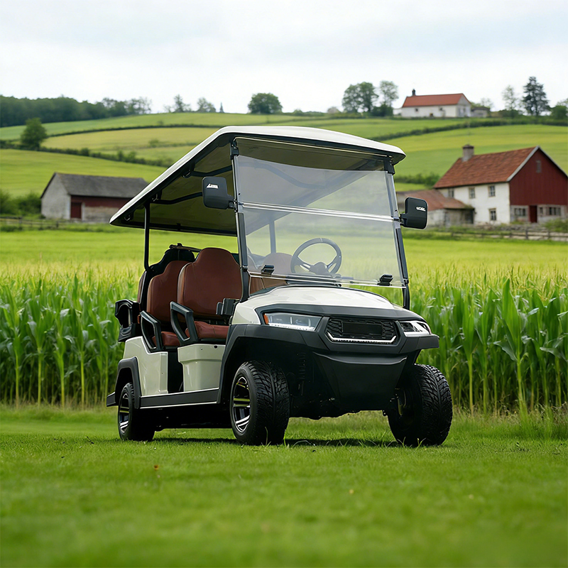 6 Seater Luxury Electric Vehicle High Speed Golf Cart with EEC CE
