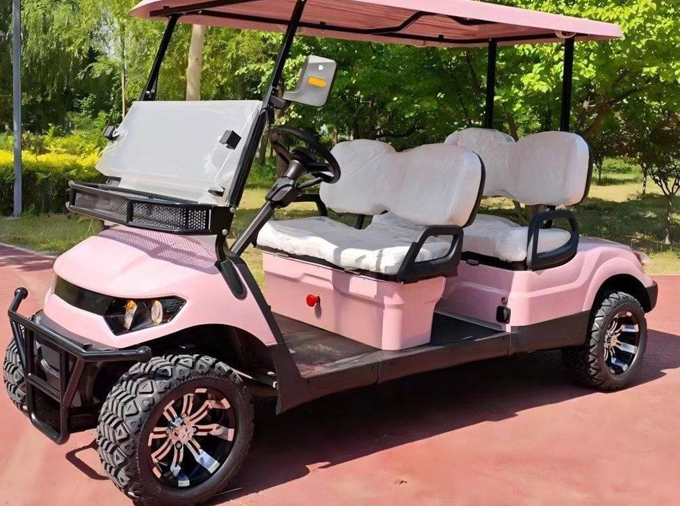 Sdlanch 2025 New Club off Road Golf Buggy 4 Wheel Lithium Battery Hunting Golf Carts 2 4 6 Seater Electric for Factory Resort Shuttle Golf Cart