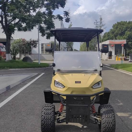 Daod Factory Direct 4+2 Seater Electric Golf Cart Bulk Order Customization for Resort and Hotel Shuttle