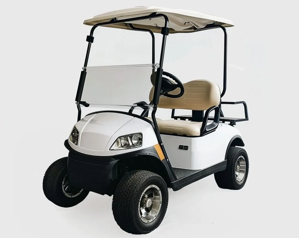 Electric Golf Cart 2 Seat