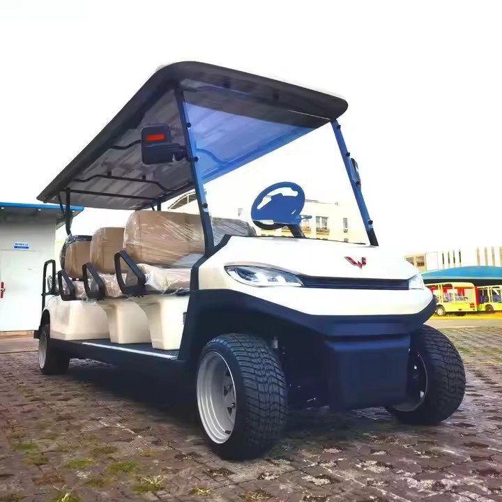 4 6 Seater Electric Golf Carts Cheap Prices Buggy Car for Sale Chinese Club Prezzi Four Enclosed Power Golf Cart