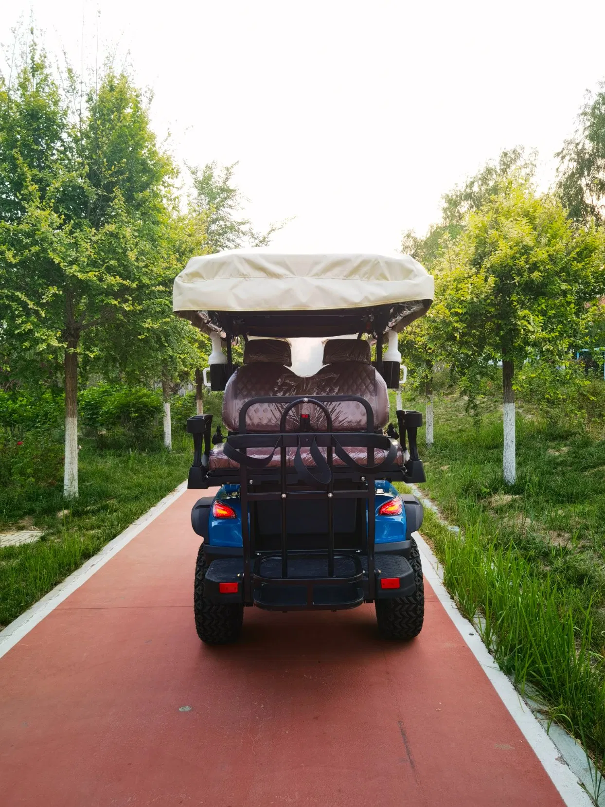 2+2 Seat Electric Golf Cart for Resort Shuttle and Utility Use