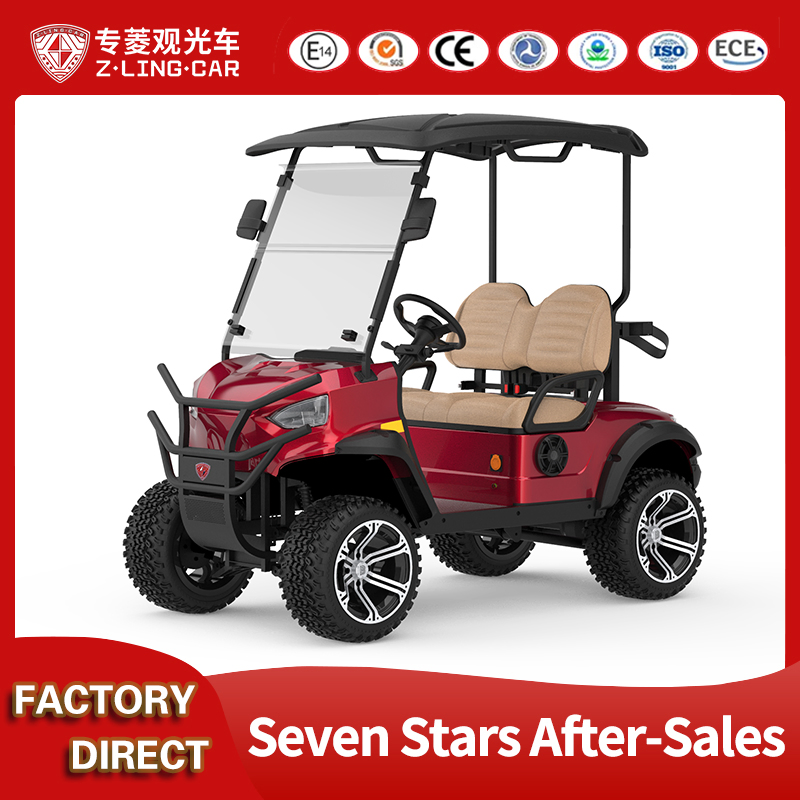 Compact Folding 2-Seater Electric Golf Cart for off-Road Adventures