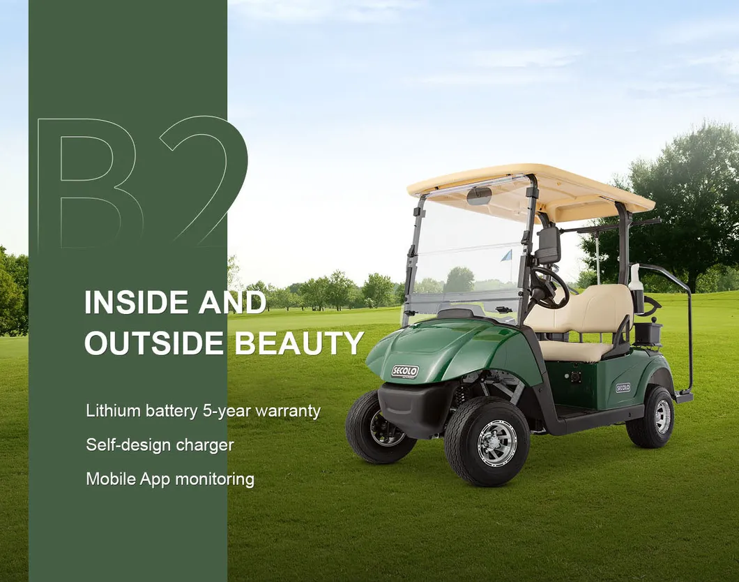 Fleet Golf Carts Detail 1