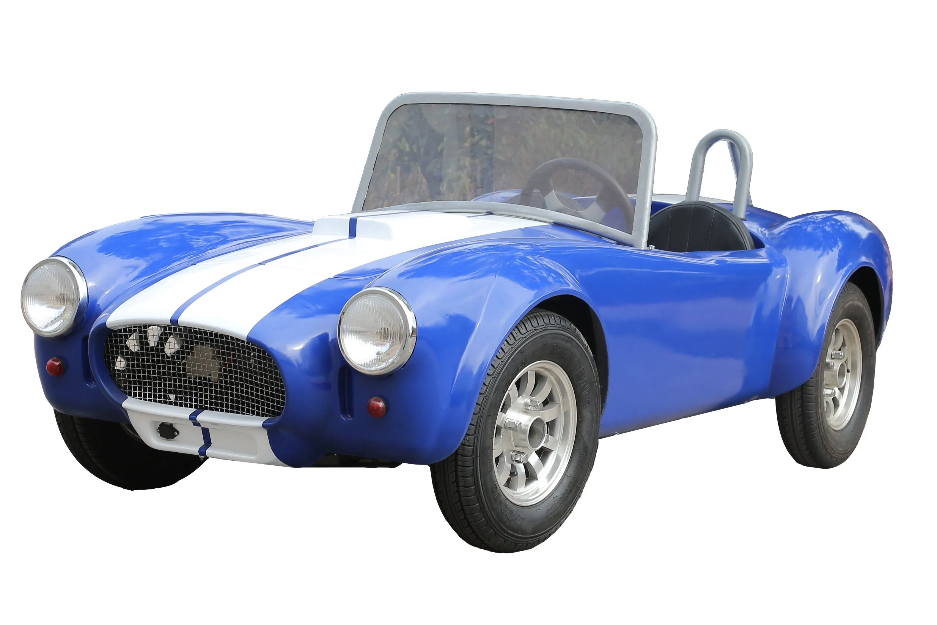 High Speed 48V Lead Acid Battery Mini Electric 2 Seater Buggy Golf Carts Price