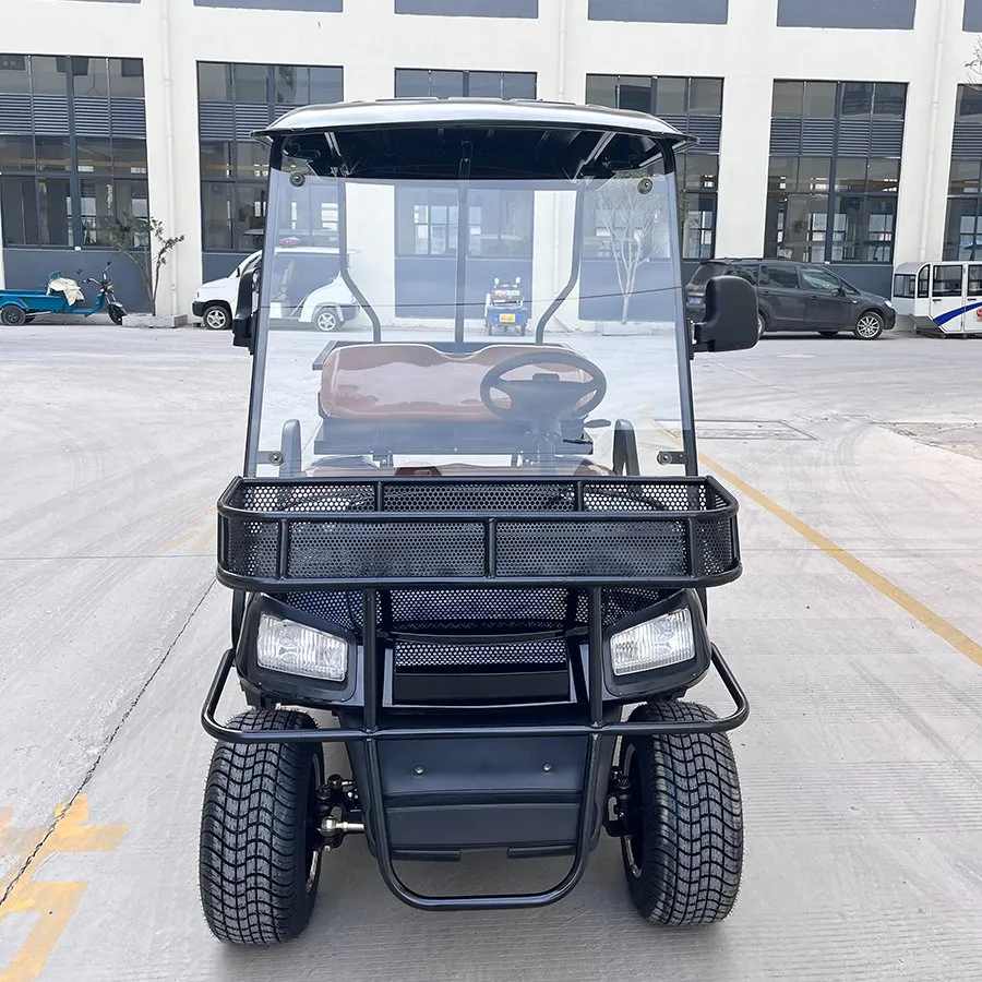 Electric Golf Cart View 2