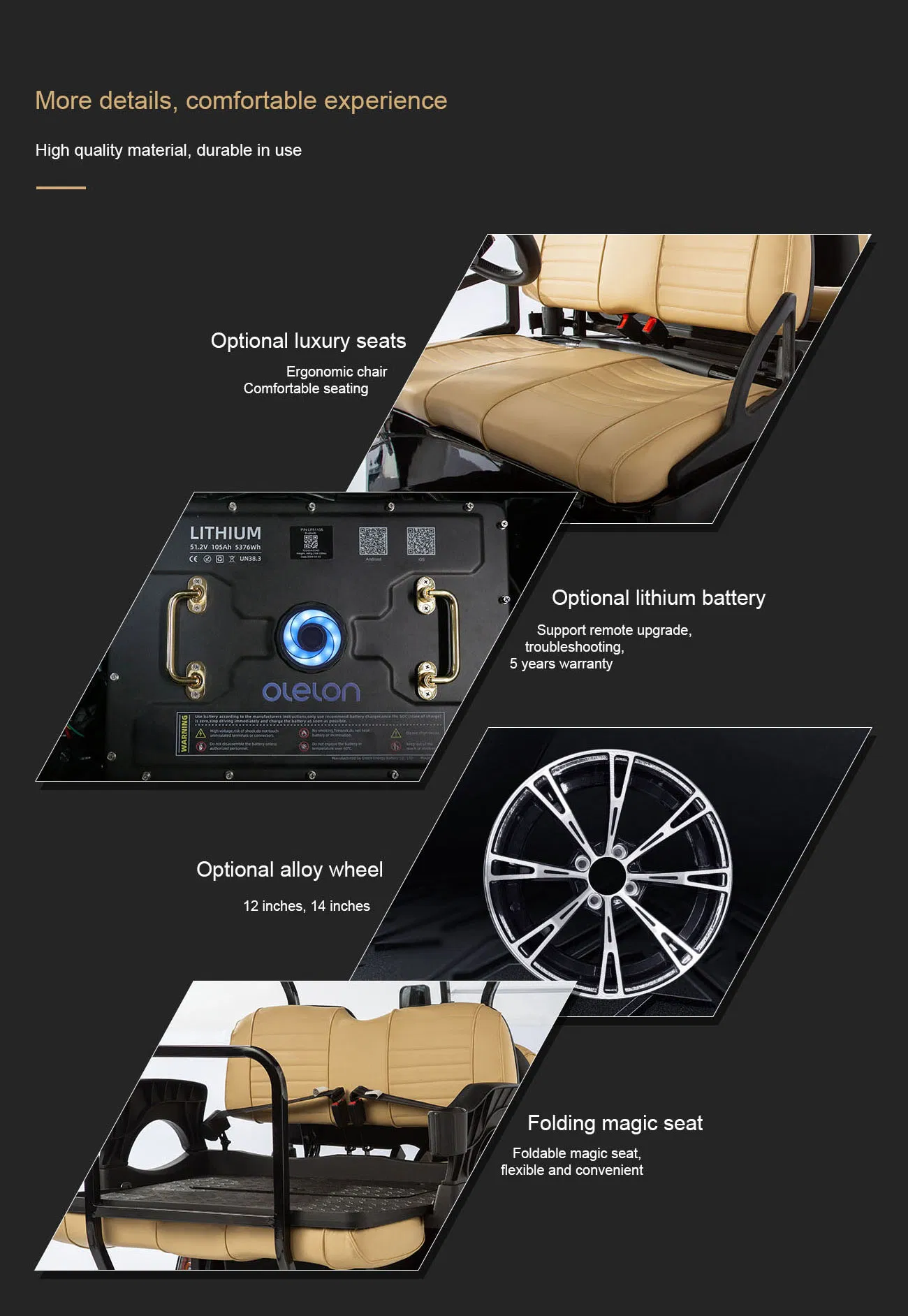 Fleet Discount Golf Cart