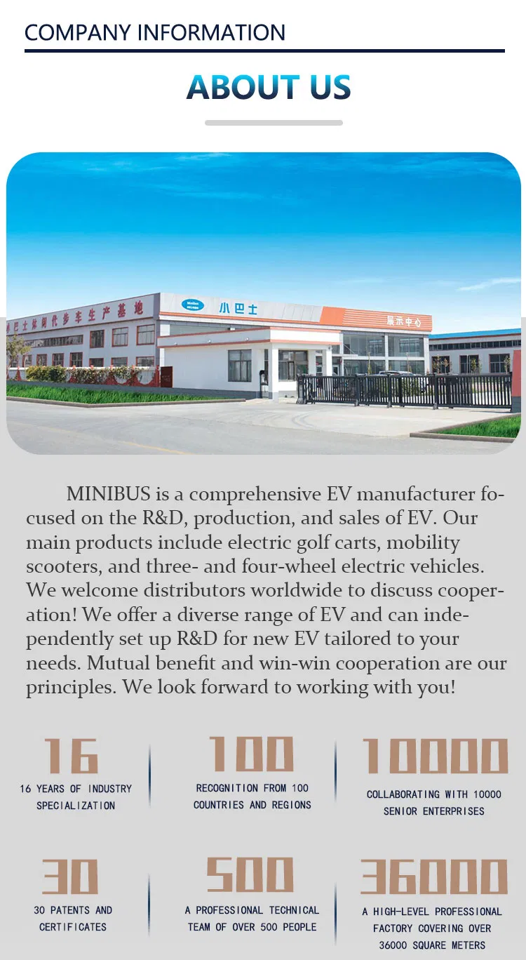 Electric vehicle detail 12