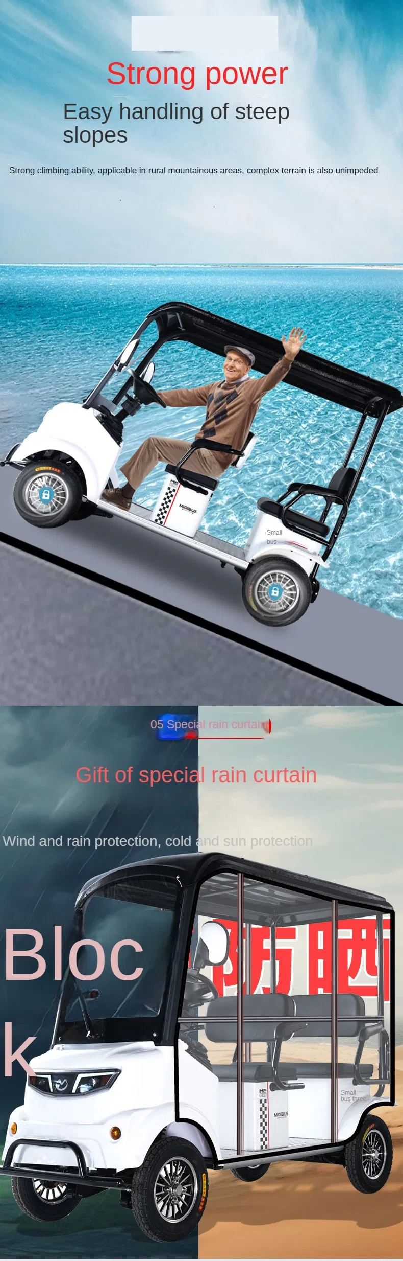 Electric Golf Cart Details