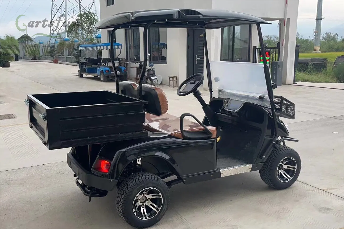 Mini Electric Golf Carts 2 Seater Cheap Farm Lead-Acid Utility Vehicles Golf Cart with Cargo Bed
