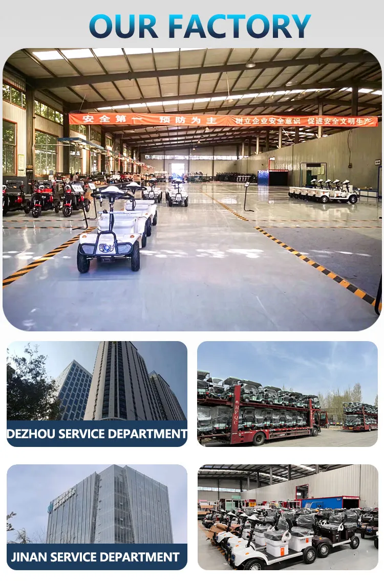 Electric vehicle detail 13