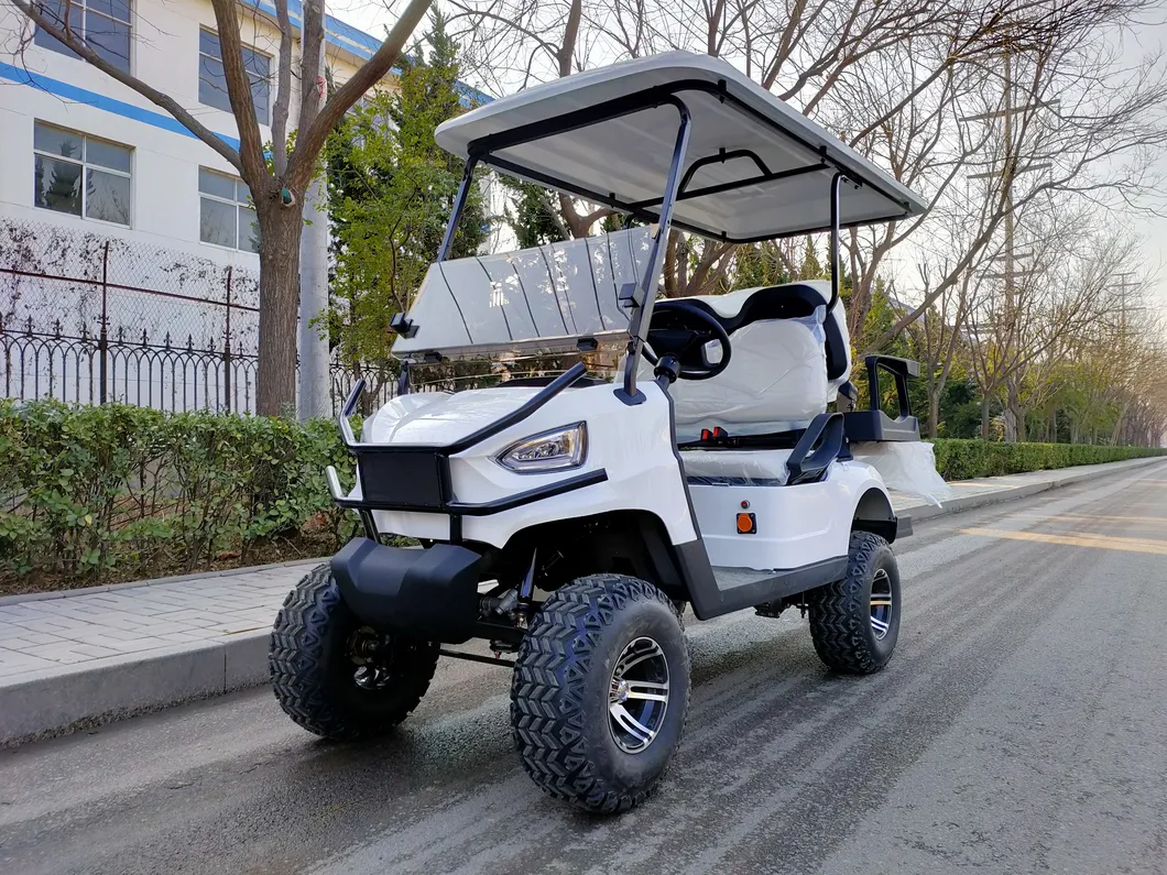 Electric Golf Cart View 3