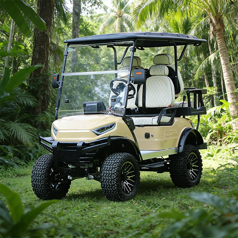 2 4 Seater Electric Golf Carts Cheap Prices Buggy Car for Sale Chinese Club Prezzi Four Enclosed Power Golf Cart