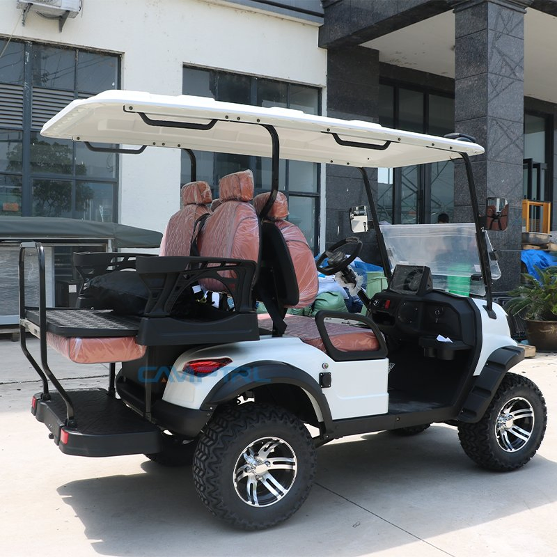 Custom Luxury 6-Passenger Electric Golf Cart with Lithium Battery