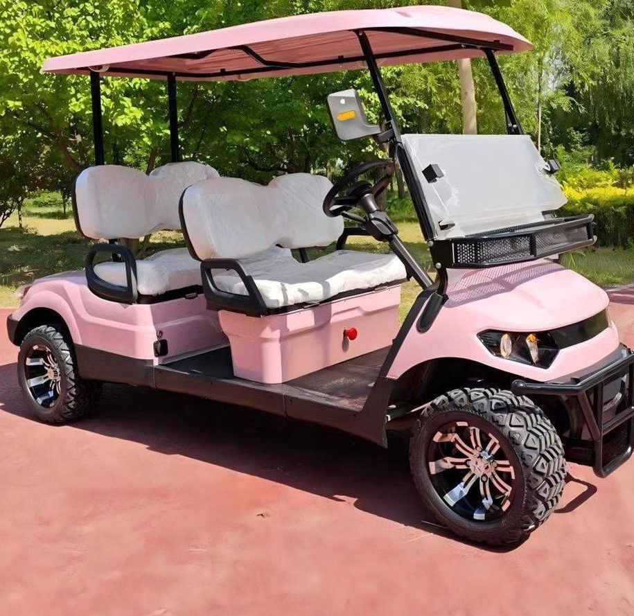 Sdlanch 2/4/6/8 Passenger 2/4/6/8 Seater 4 Wheel Electric Golf Cart Optional off Road for Villa Campus Daily Use Golf Cart