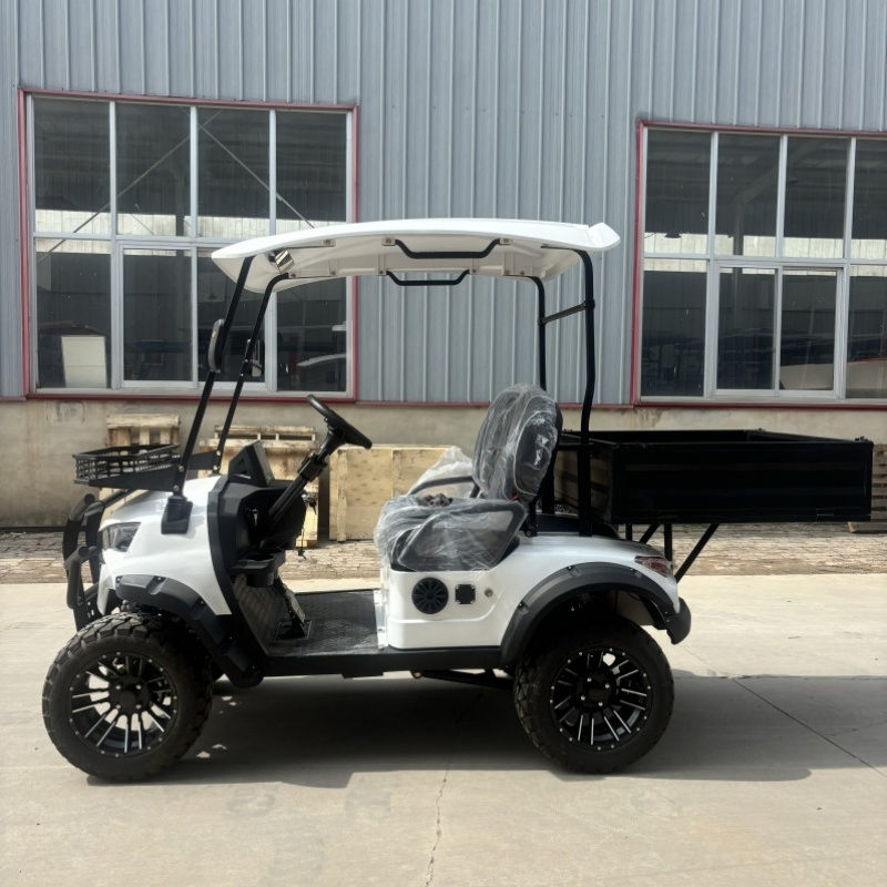 Wholesale Utility 4 Wheel Farm Vehicle White 2 Seater Electric Golf Hunting Cart with Rear Cargo Box