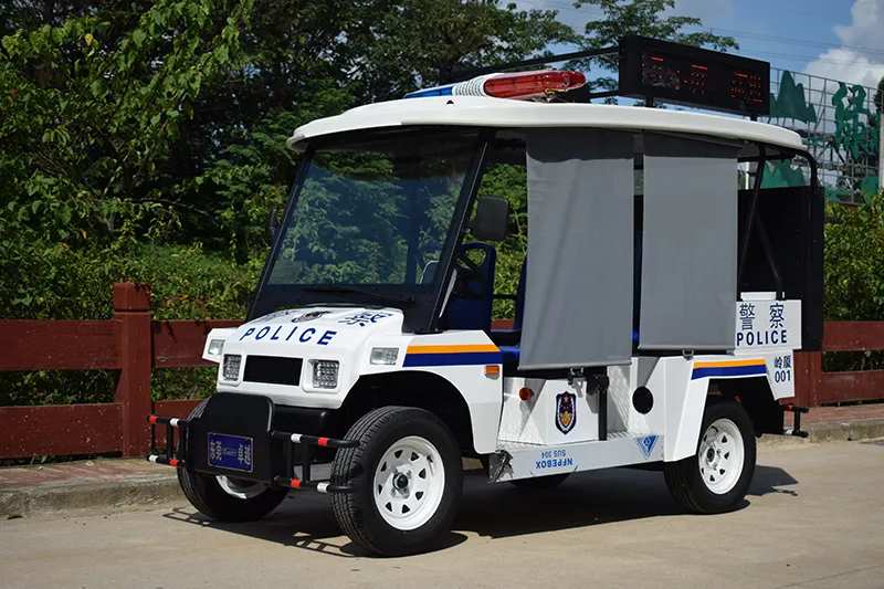 Security Guard Golf Cart Patrol View 2