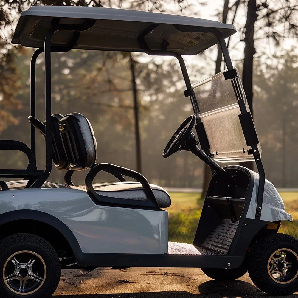 Enclosed Golf Cart Cheap Electric Golf Carts Golf Cart 2 Seat
