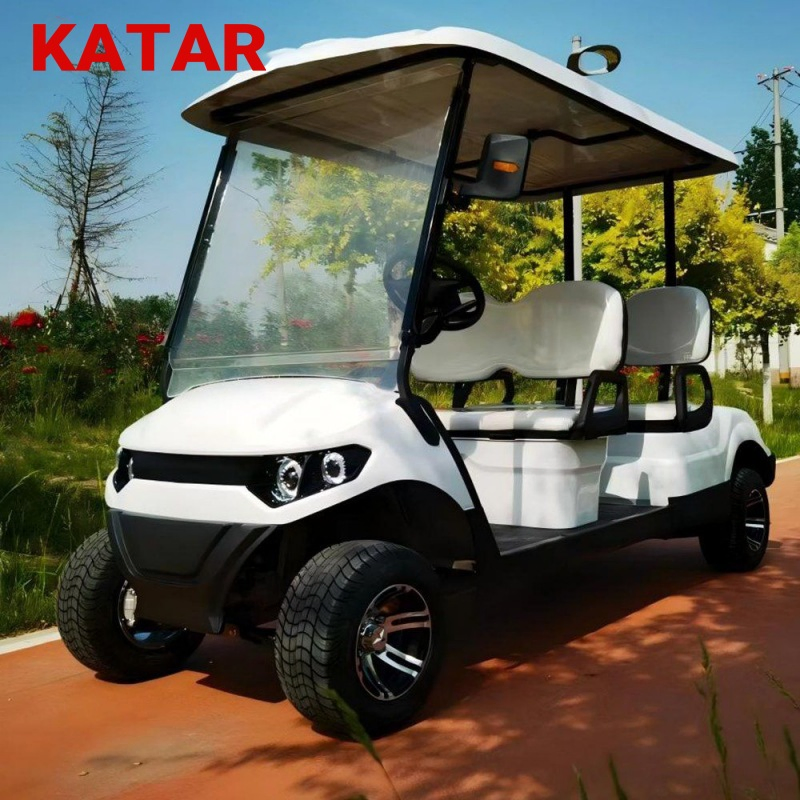 Sdlanch 2025 New Club off Road Golf Buggy 4 Wheel Lithium Battery Hunting Golf Carts 2 4 6 Seater Electric for Factory Resort Shuttle Golf Cart