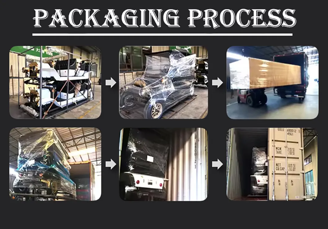 Electric UTV View 10