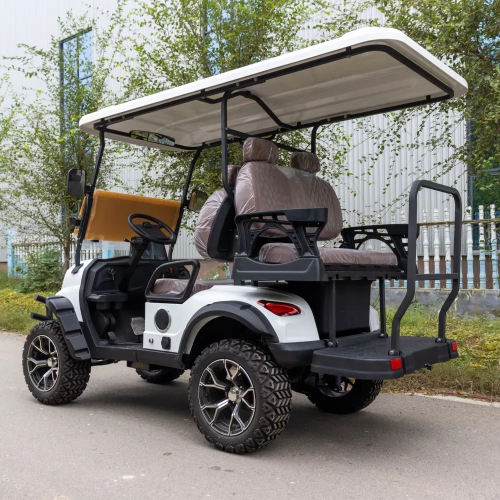 Electric Golf Cart View 4