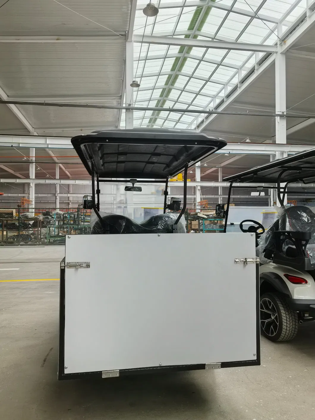 Luxury Gas Golf Cart