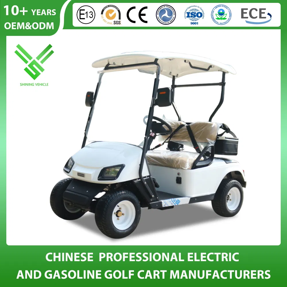 Factory 2 Seater Electric Utility Golf Cart with CE Certificate