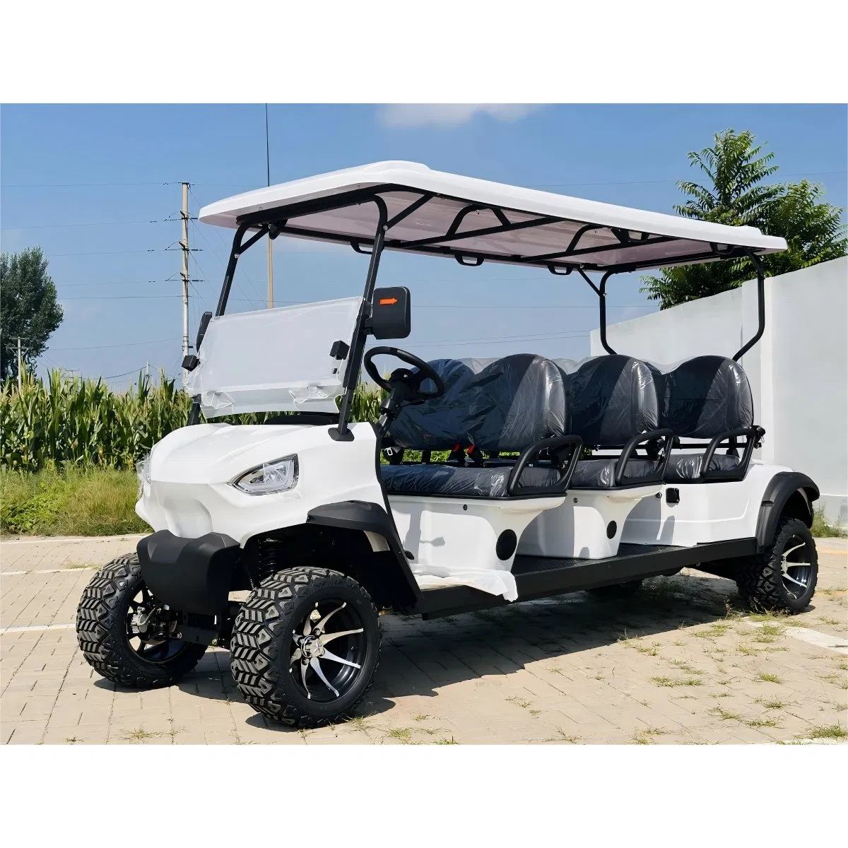 6-Seater Electric Golf Cart for Resort &amp; Community Shuttle