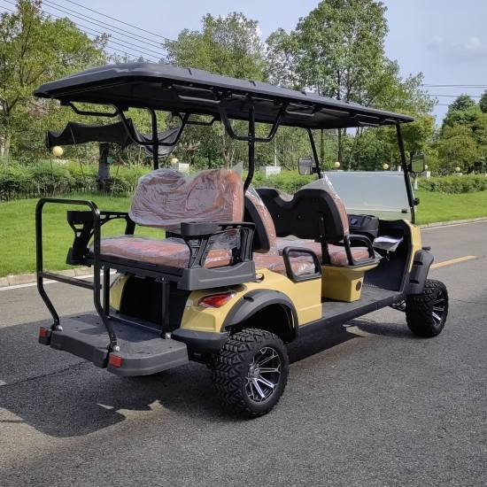 Daod Factory Direct 4+2 Seater Electric Golf Cart Bulk Order Customization for Resort and Hotel Shuttle