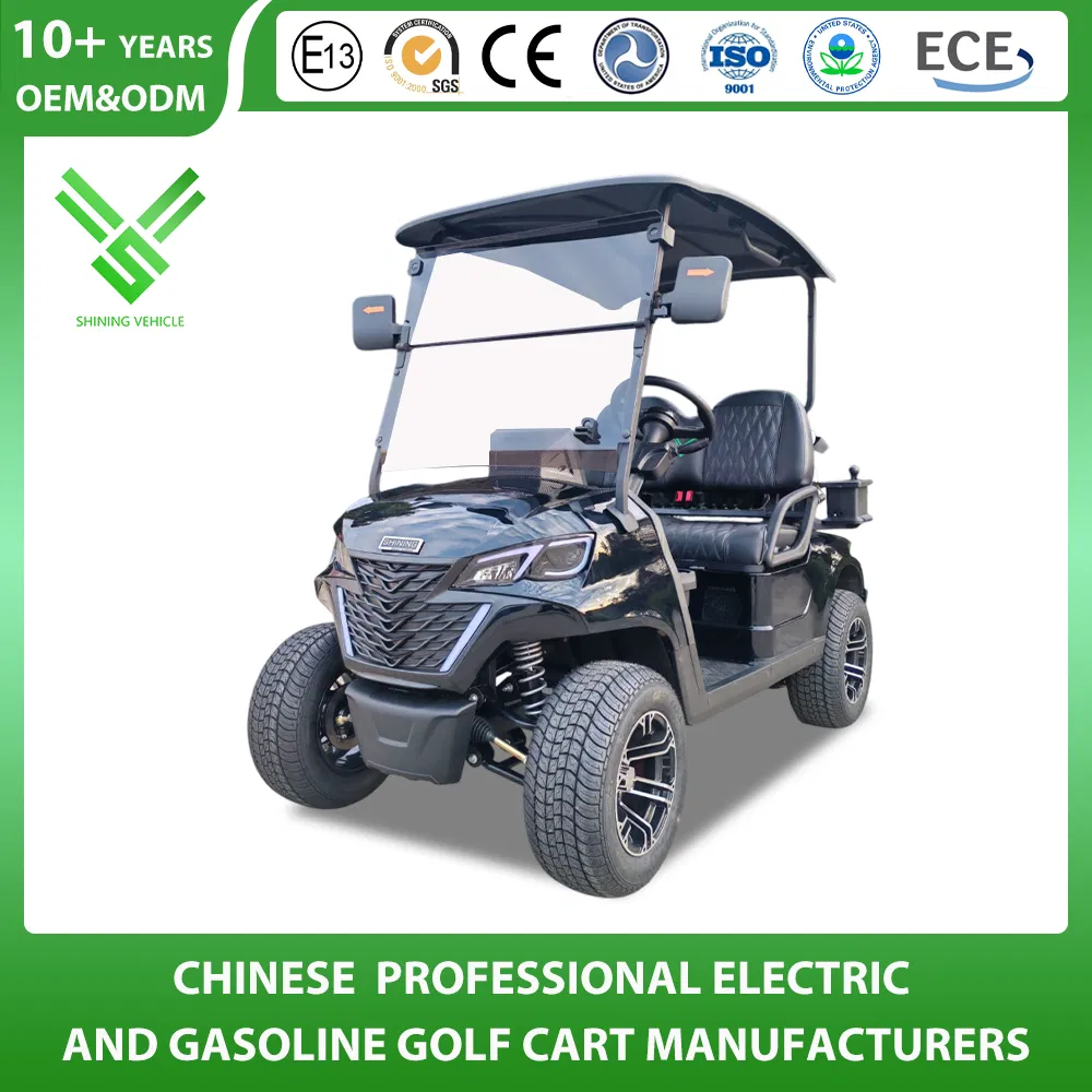 Shininglsv 2 Seat 48V Lithium Long Distance Shuttle Vehicle Golf Cart
