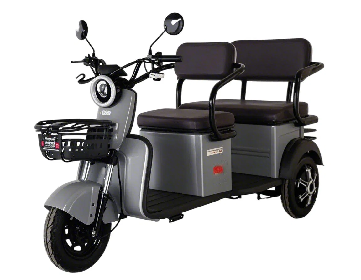 Built-in Audio System Quiet Operation Community Security Patrol Mobile Photography Dune Buggy Electric Golf Cart