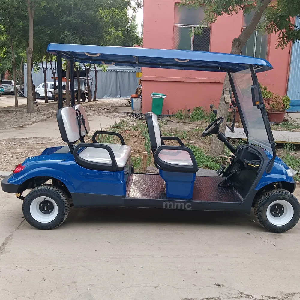 OEM/ODM 48V/60V/72V 2 4 6 8 Seater Electric Golf Car Lead Acid/Lithium Battery/Solar Panels Golf Carts