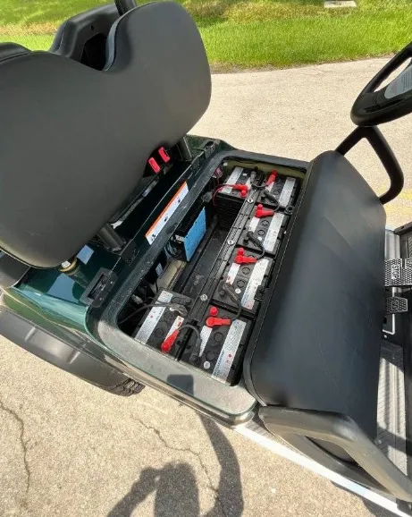 Golf Cart Detail 2
