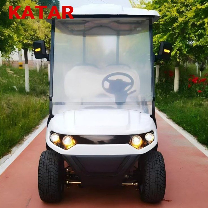 Sdlanch Buy New Mini Community 30 Mph 6 Seater Power Golf Car Cart Buggy with Foldable Rear Seat