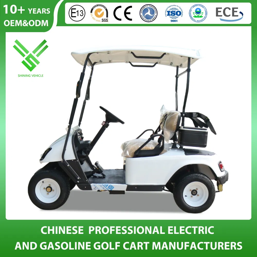 Factory 2 Seater Electric Utility Golf Cart with CE Certificate