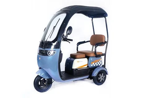 Customizable Options