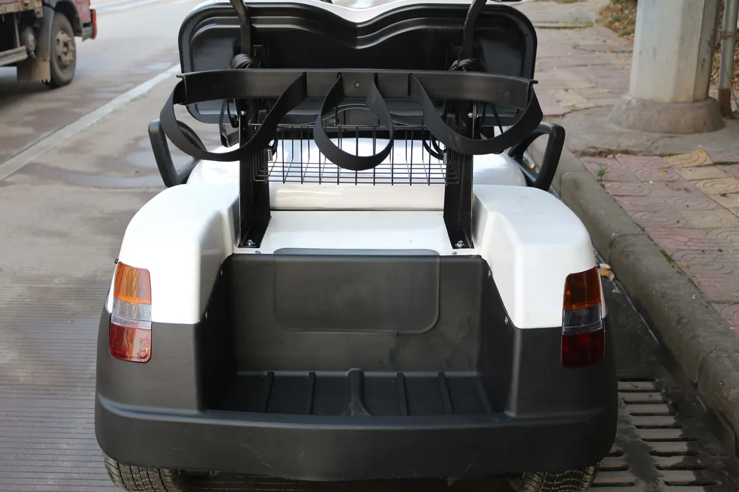 Back storage and golf rack