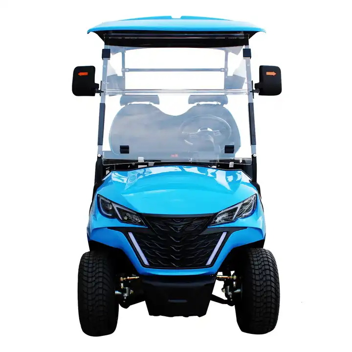 Custom 4 Wheel 2 Seat Electric Golf Kart Luxury Golf Buggy Car Electric Mini Golf Cart with Lithium Batteries