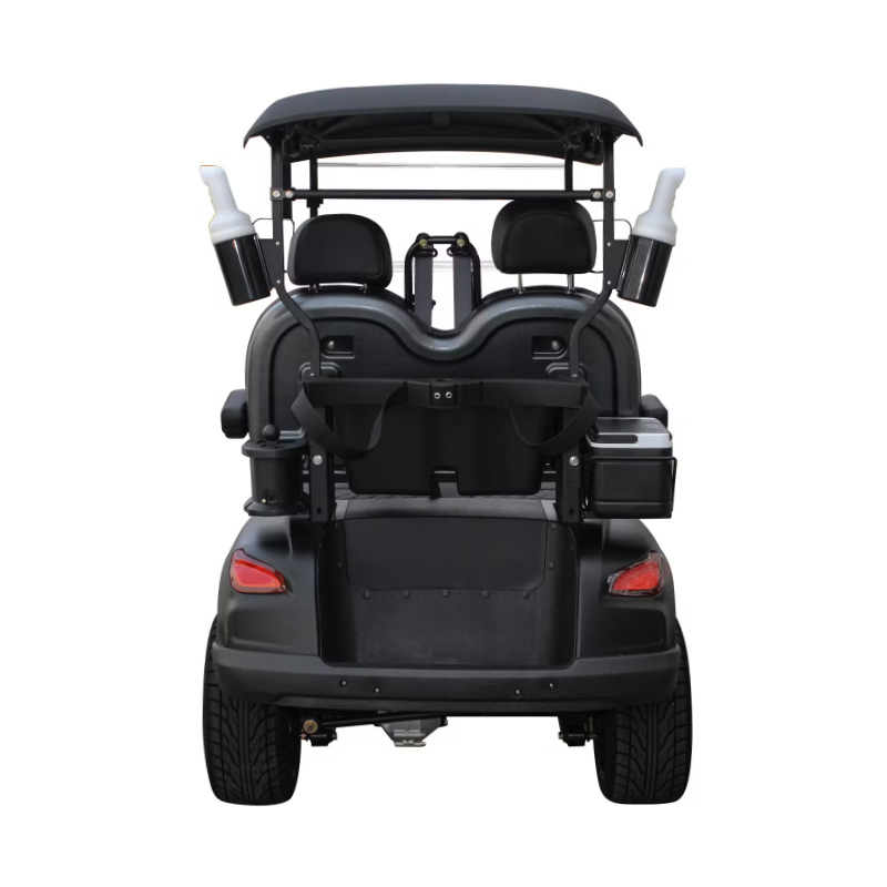 Customize High-Speed 25 Km/H Electric Golf Cart for Cart Distribution