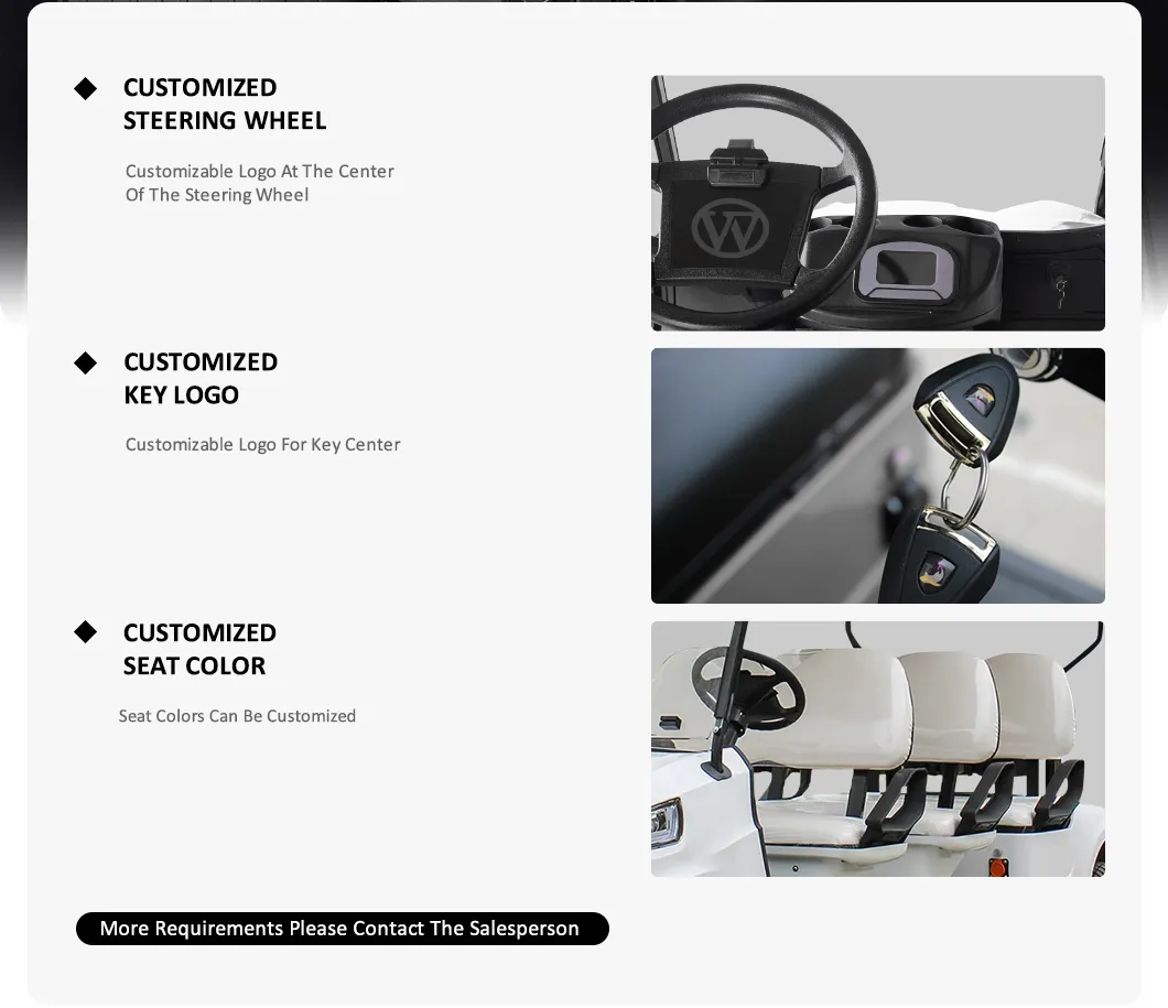 Electric Golf Buggy 8