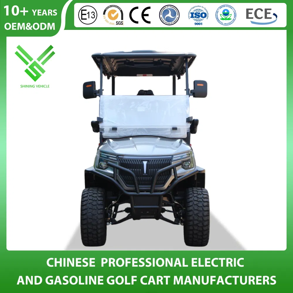 Shininglsv China Imported Advanced Luxury Custom Golf Cart