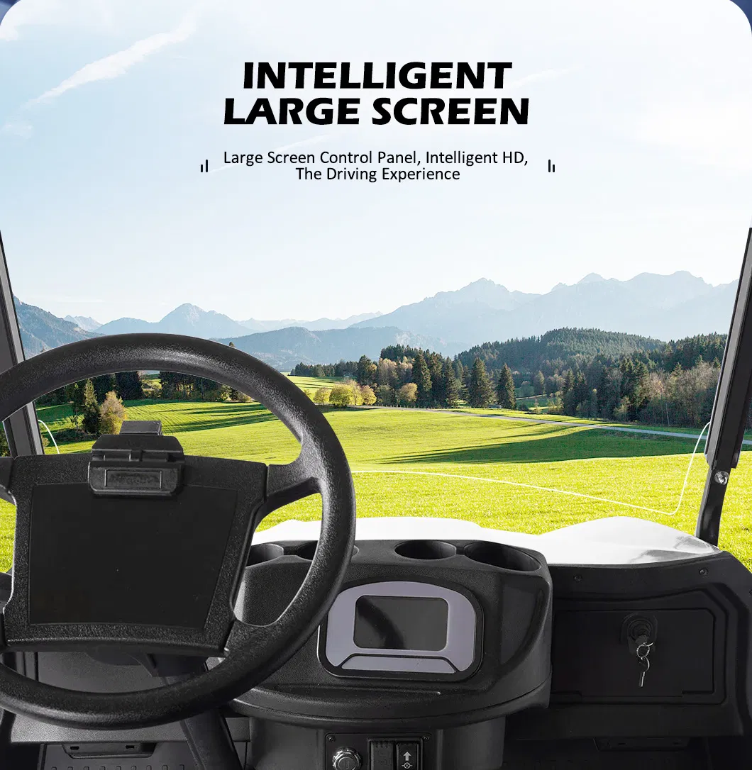 Electric Golf Buggy 7