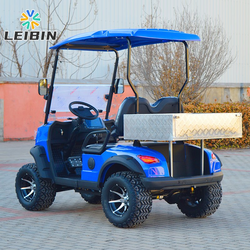 48V Buggy Farm Work Trolley Utility Vehicle Lifted Cargo Box for Sale Electric Golf Cart UTV Mini Truck